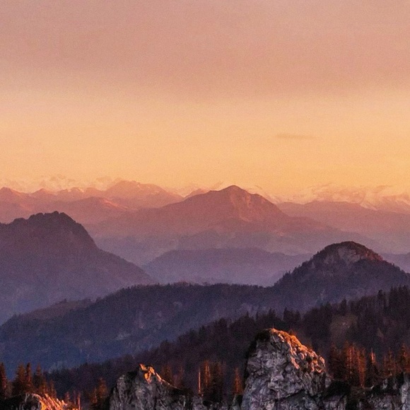 Meet your Posher, Henry - Picture 1 of 1